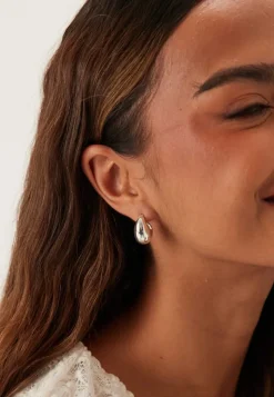 Pilgrim Intent Earrings -plated