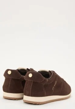 Steve Madden Mirage-sm Suede Sneaker